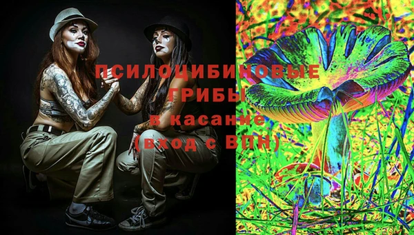 хмурый Алексин
