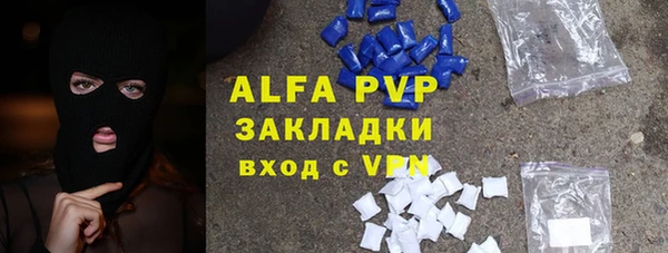 хмурый Алексин
