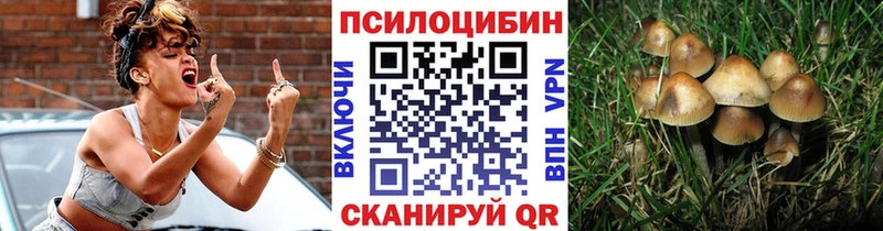 Псилоцибиновые грибы MAGIC MUSHROOMS  Игарка 
